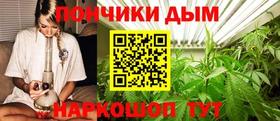 прущие грибы Краснознаменск