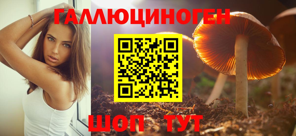 Псилоцибиновые грибы GOLDEN TEACHER Королёв